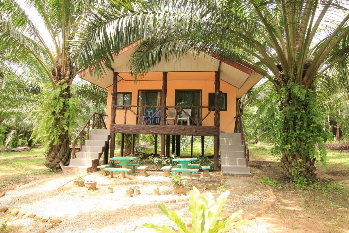 A two-story building with a balcony, surrounded by palm trees and green plants.