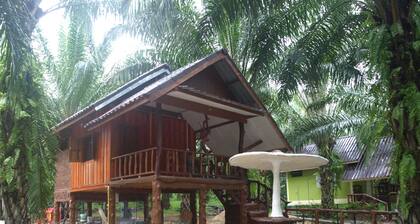 Khaosok Palmview
