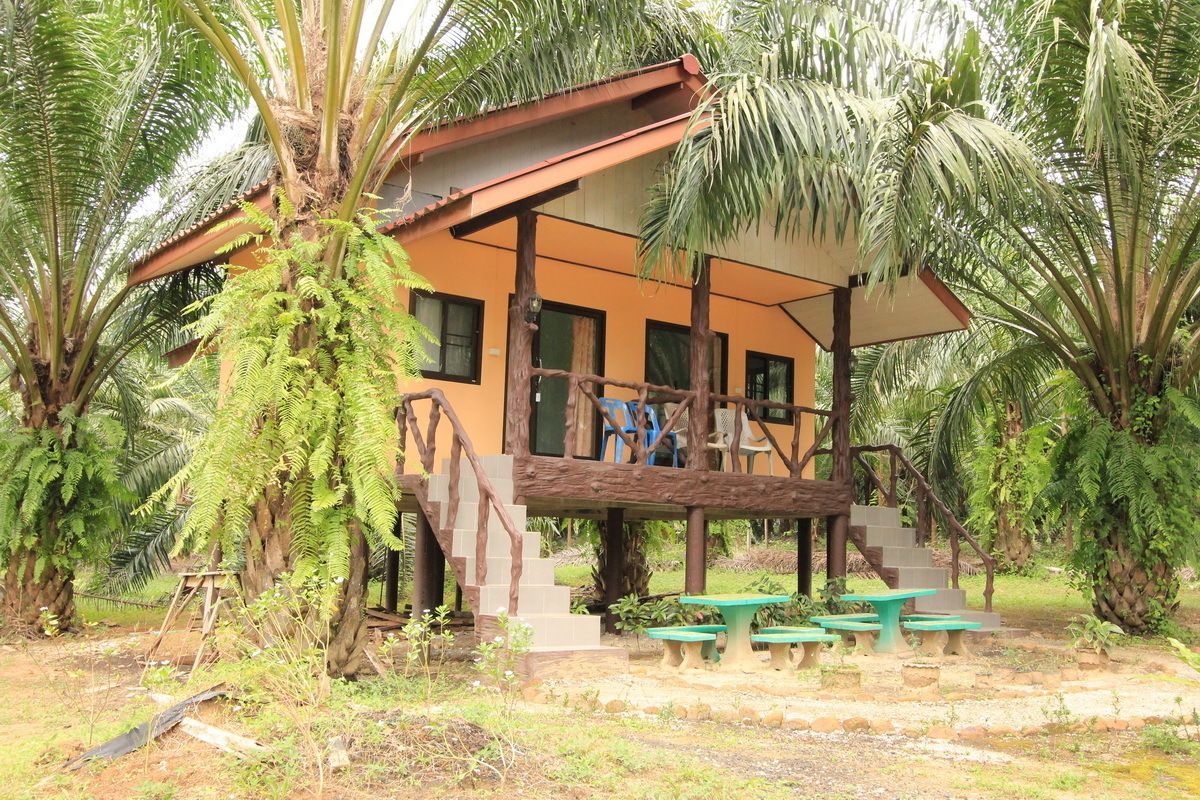 cottage 2 adult type a  | terrace/patio