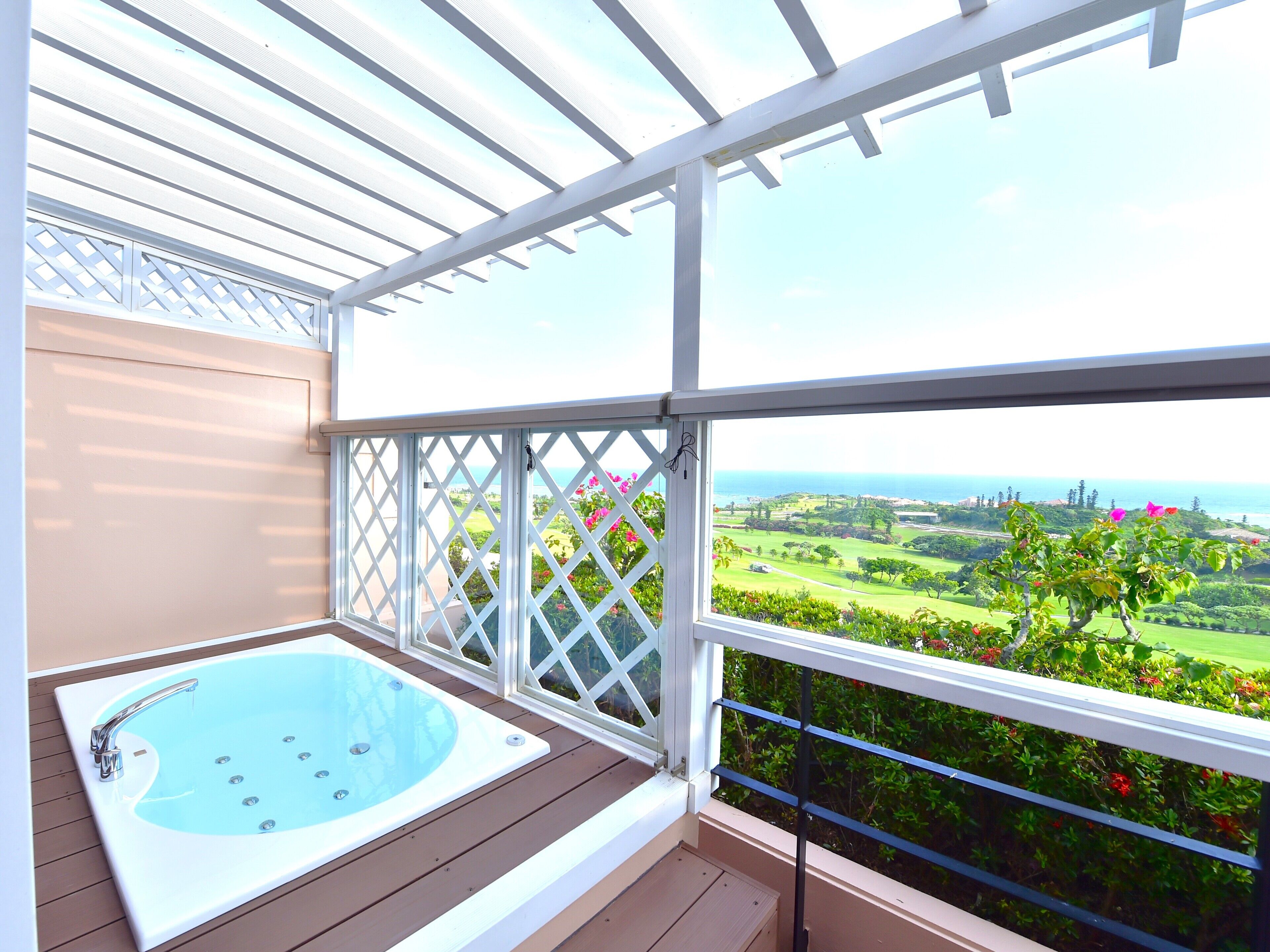 jacuzzi suite (non smoking) | view from room