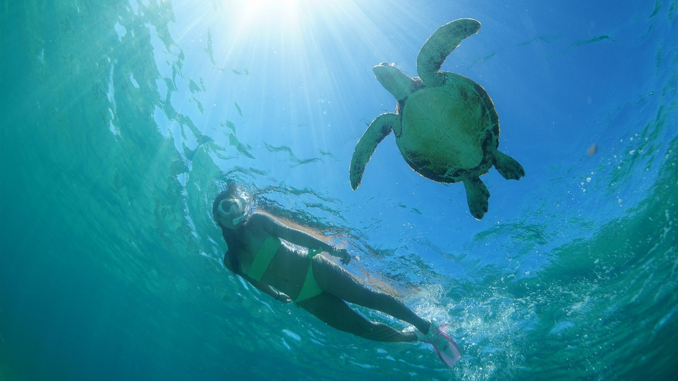 private beach nearby, white sand, beach cabanas, sun-loungers