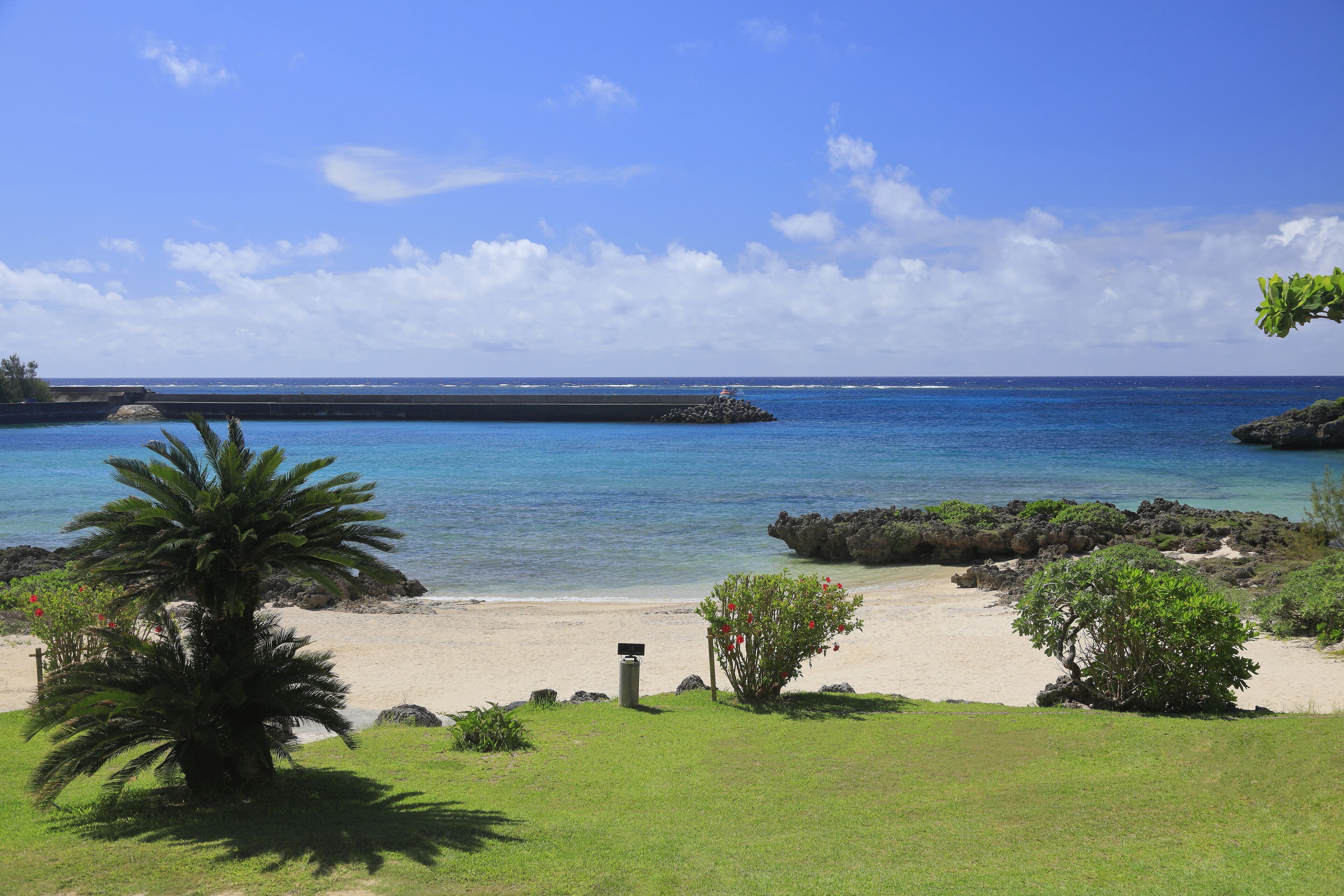 A beach with a palm tree, a small bush, and a rocky outcrop in the water.