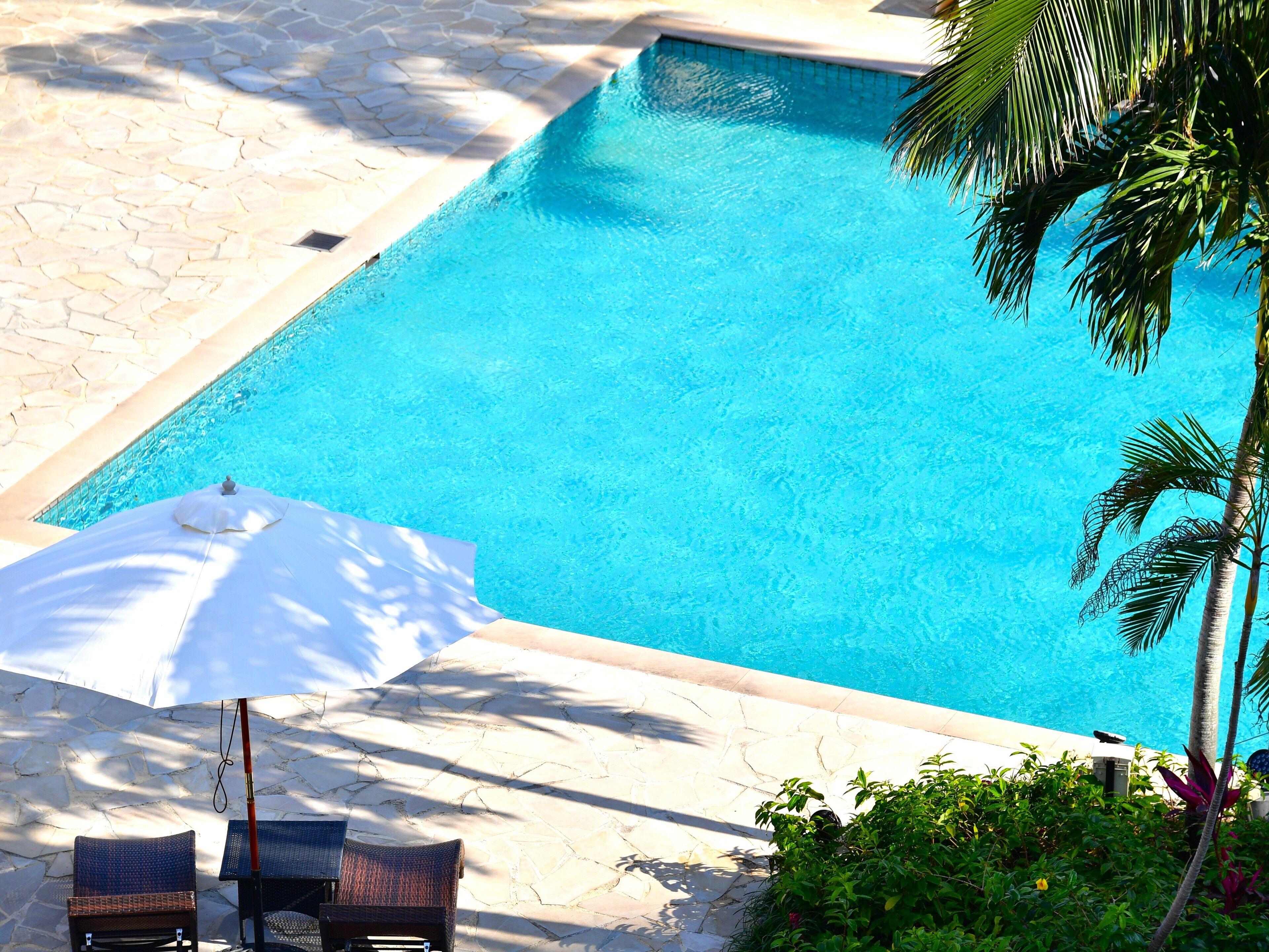 A rectangular swimming pool with clear blue water, surrounded by stone tiles and palm trees.