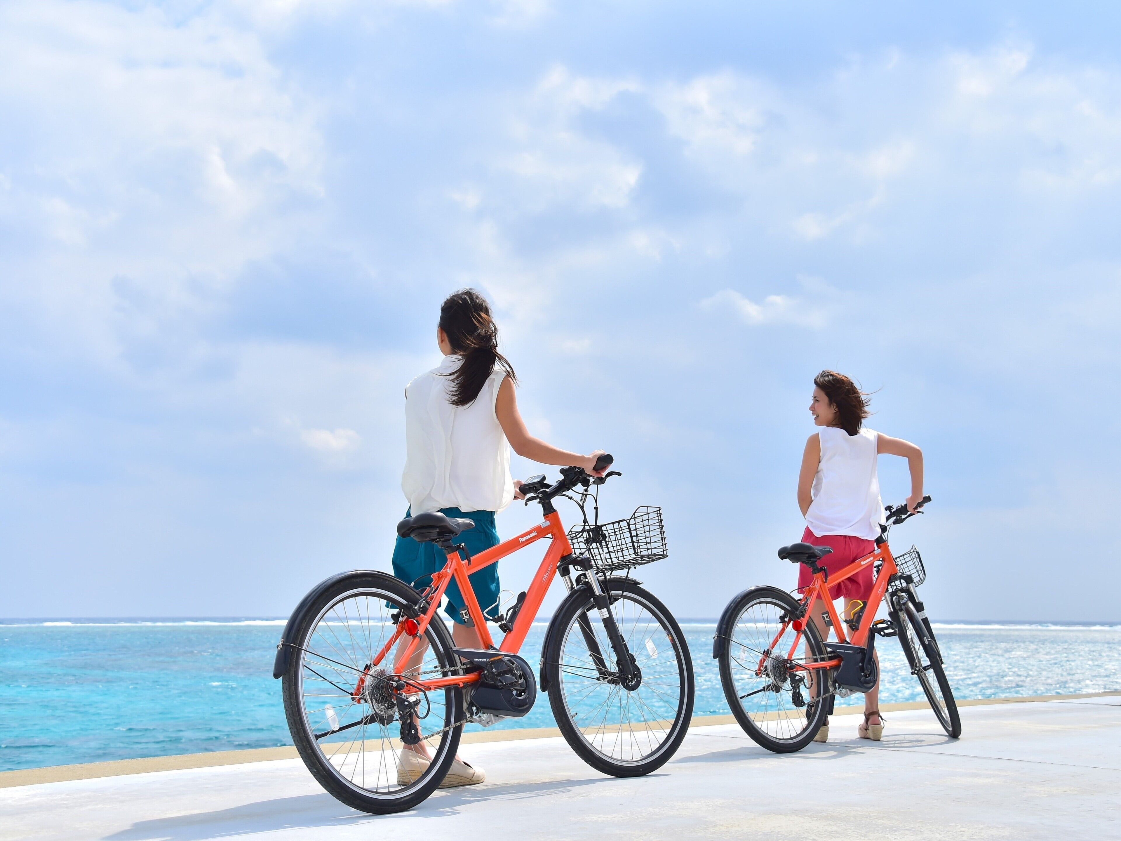 Two people on bicycles by the sea, with a clear sky.