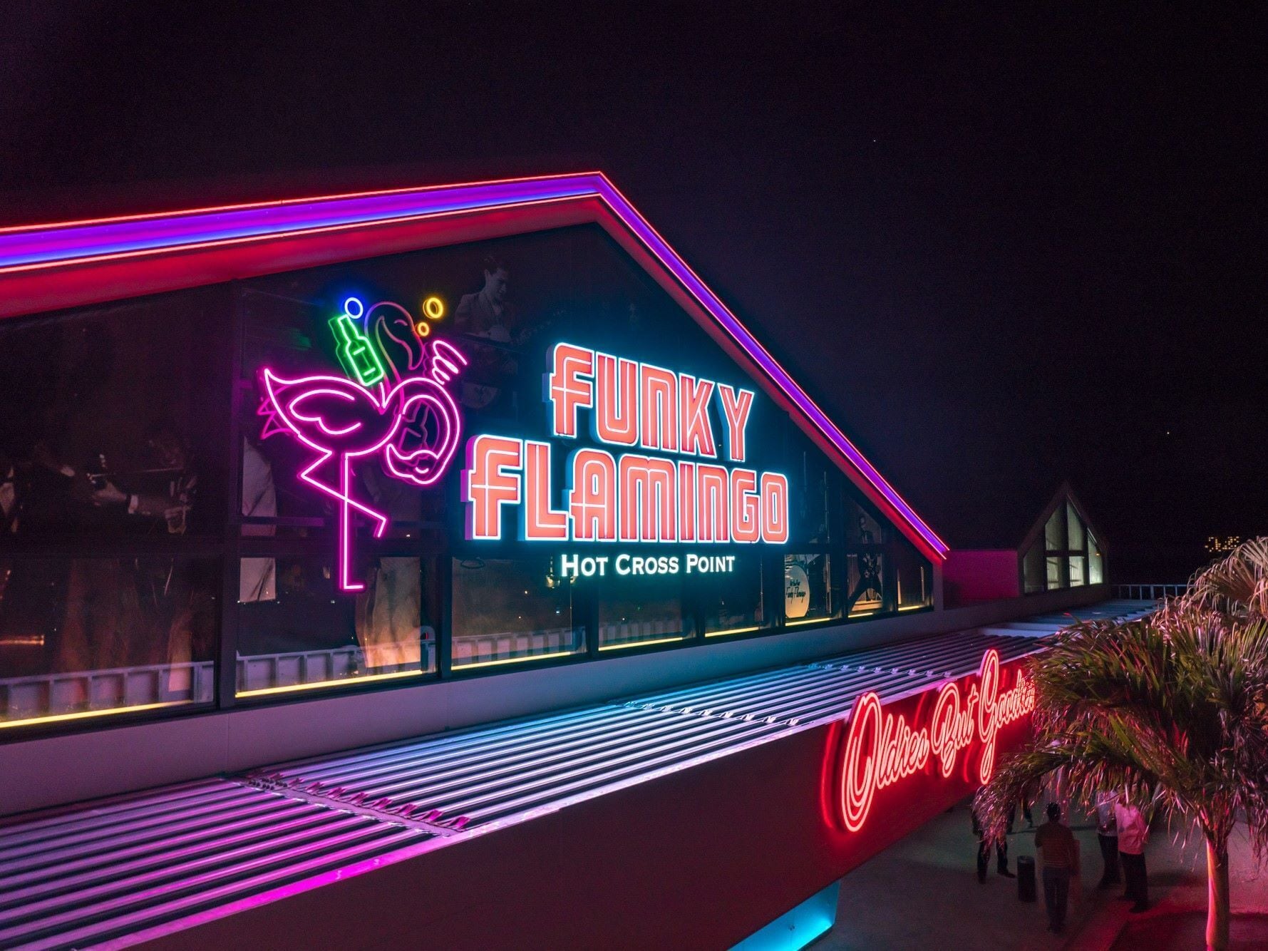 A building with neon signs reading "Funky Flamingo" and "Oldies But Goodies".
