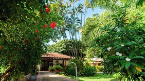Un sendero que conduce a un edificio de techo con tejas, rodeado de abundante vegetación y palmeras.