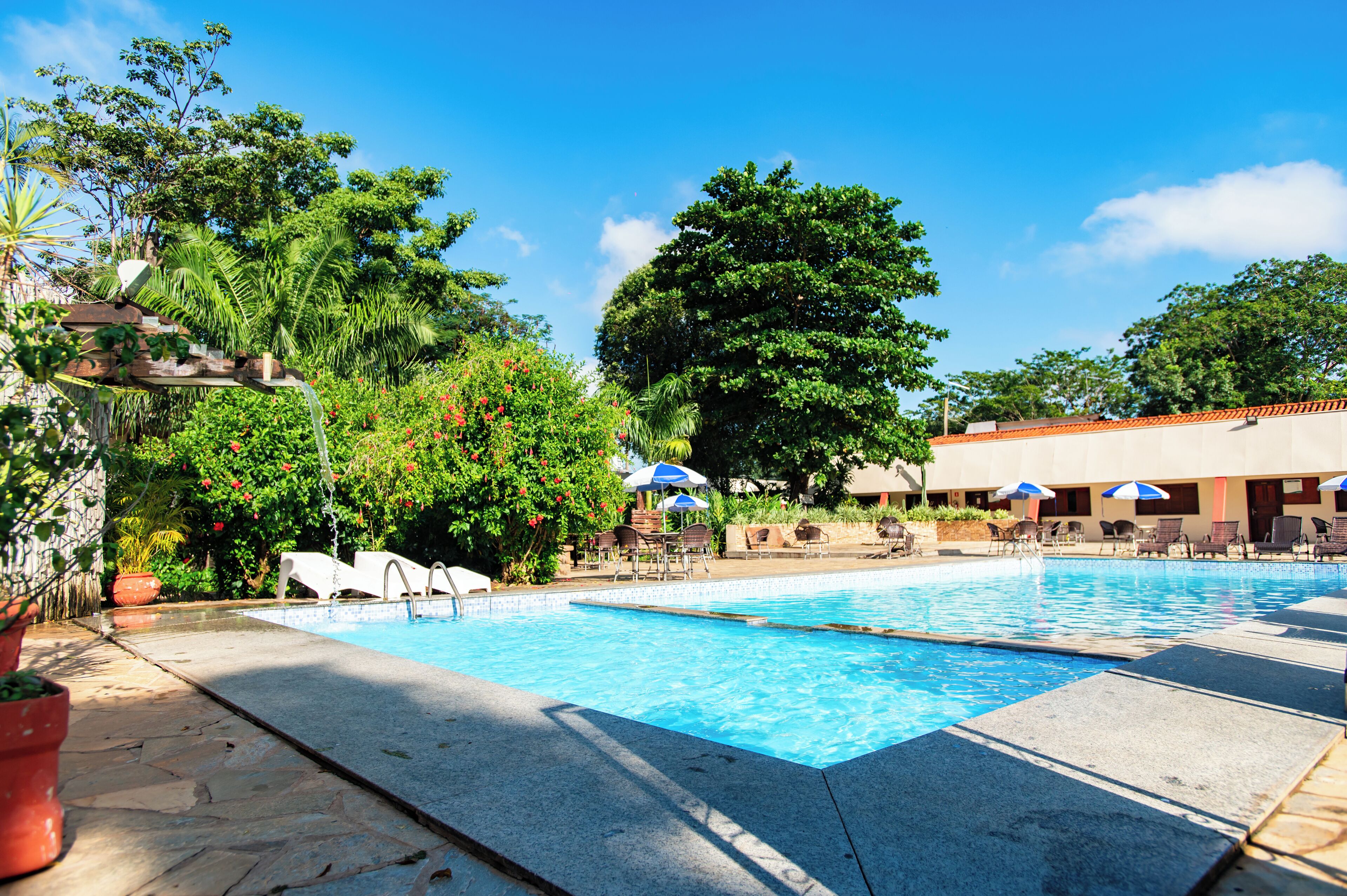 outdoor pool, pool loungers