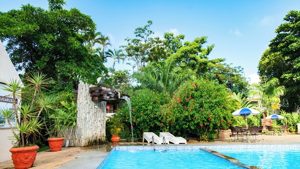 Una piscina con cubierta de madera, rodeada de abundante vegetación y una cerca de bambú.