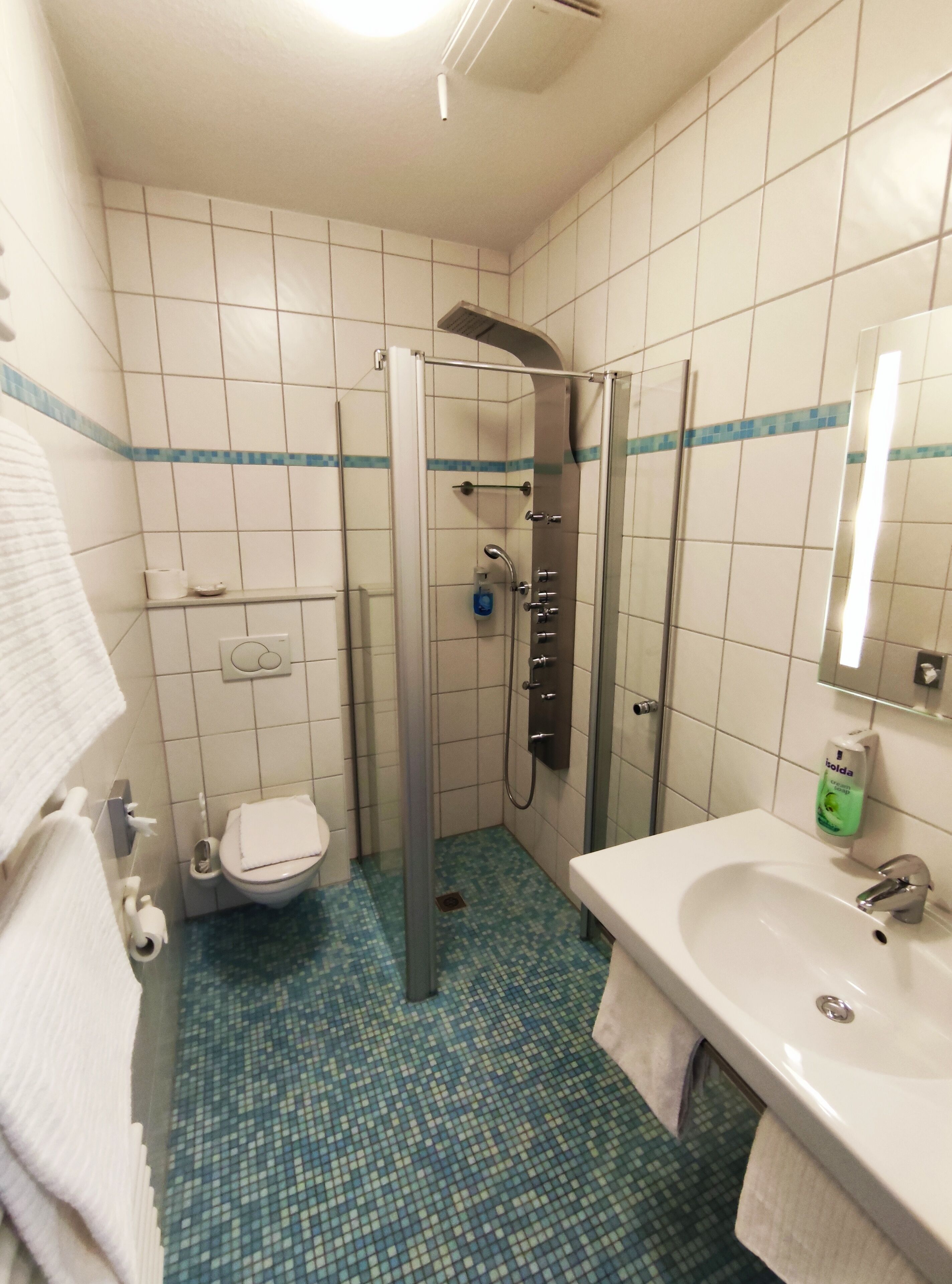 shower, free toiletries, hair dryer, slippers