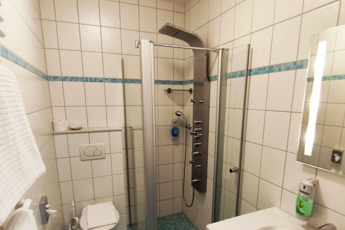 shower, free toiletries, hair dryer, slippers