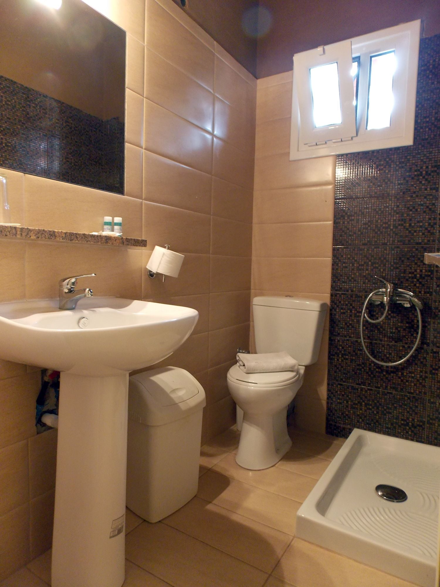 double or twin room, garden view (back view) | bathroom | shower, hair dryer, towels