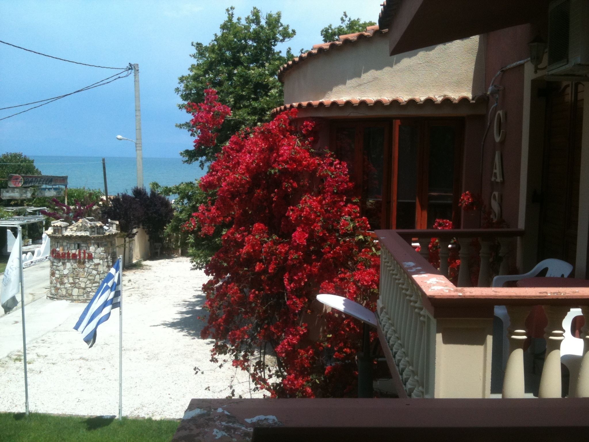 A coastal property with a stone wall, a red flowering bush, and a view of the sea.