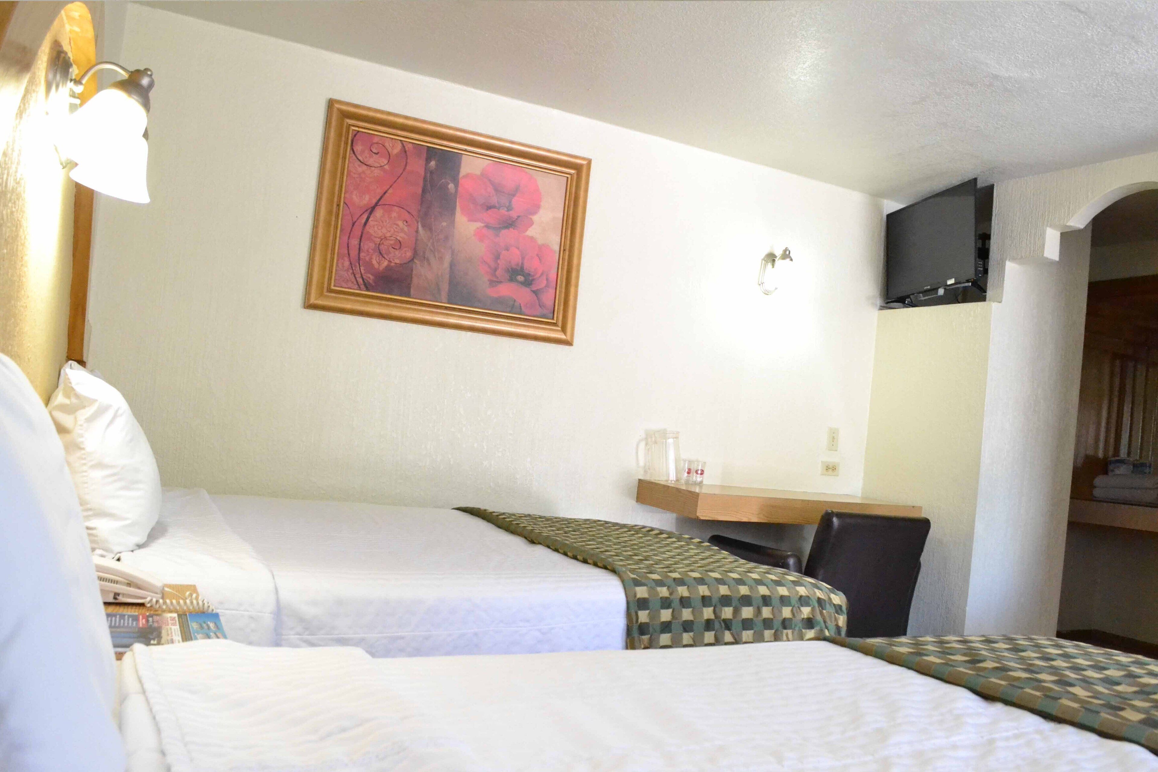 Foto - Hotel Flamingo