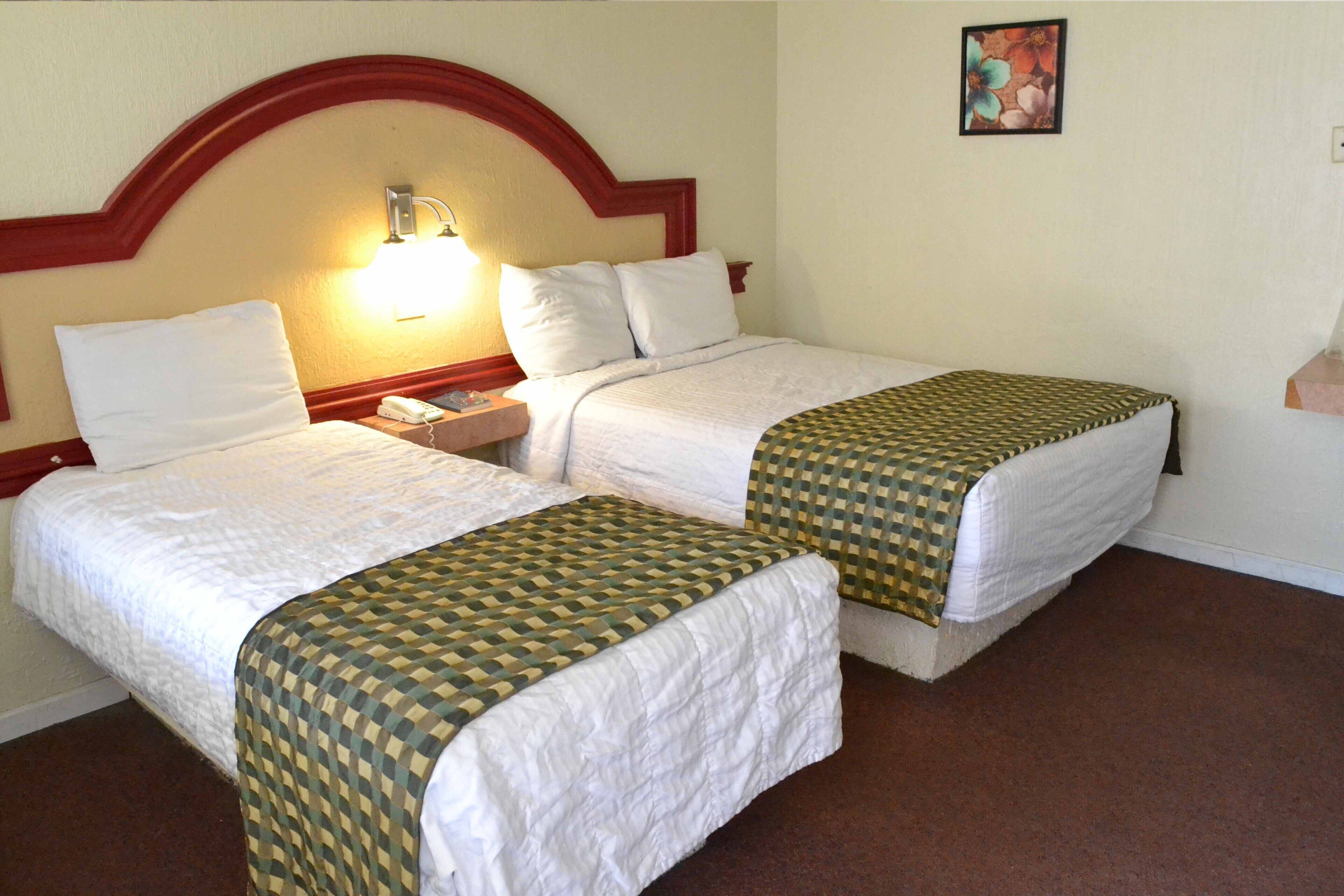 Foto - Hotel Flamingo