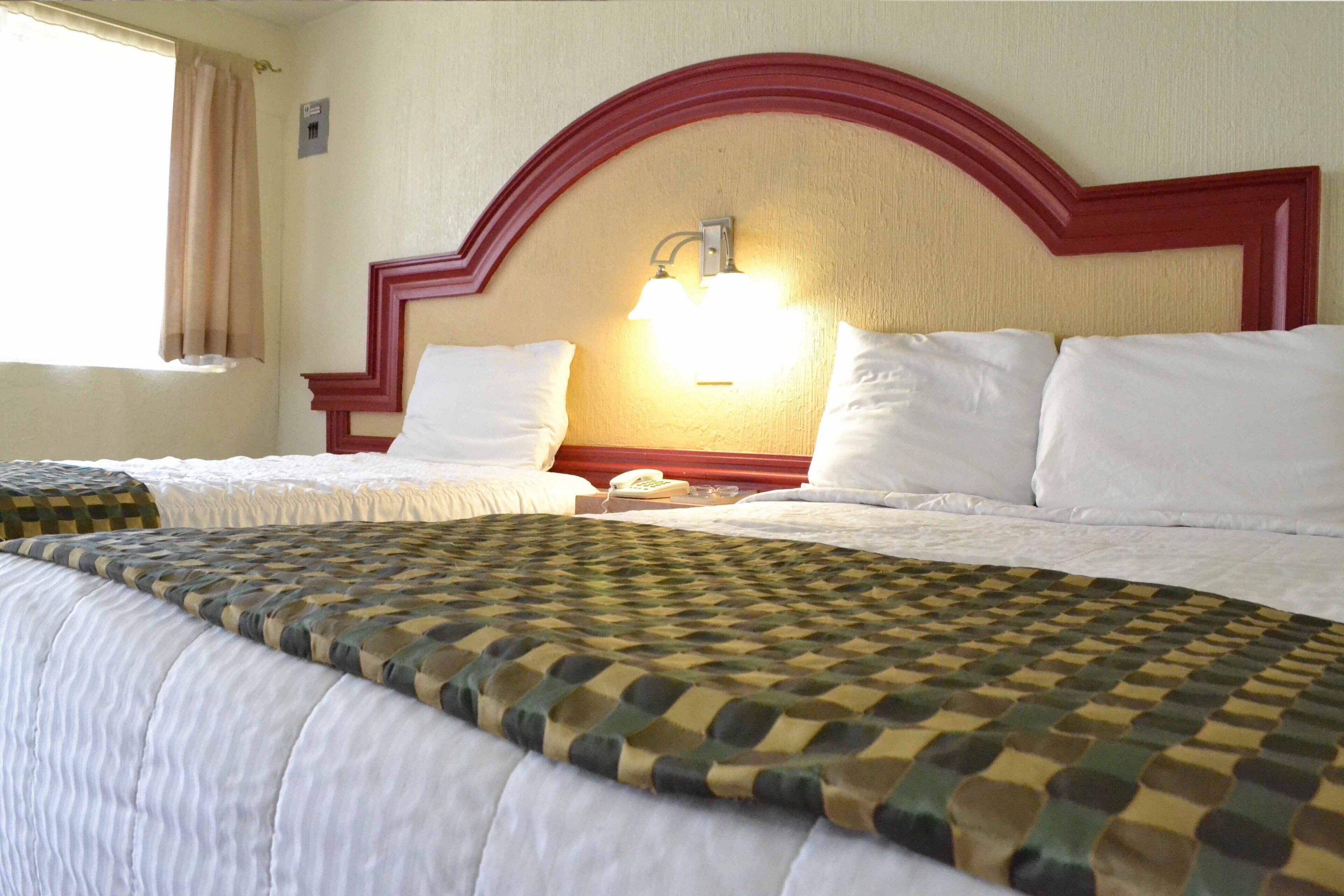 Foto - Hotel Flamingo