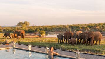 6 albercas al aire libre, sombrillas en la alberca y camastros