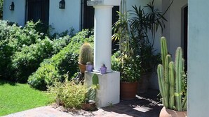 A courtyard with a white building, a tiled floor, and various potted plants including cacti. - Susana Just B&B (Florida)
