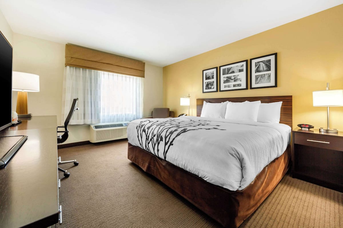A hotel room with a large bed, a desk, a chair, a TV, a lamp, and a window with curtains.