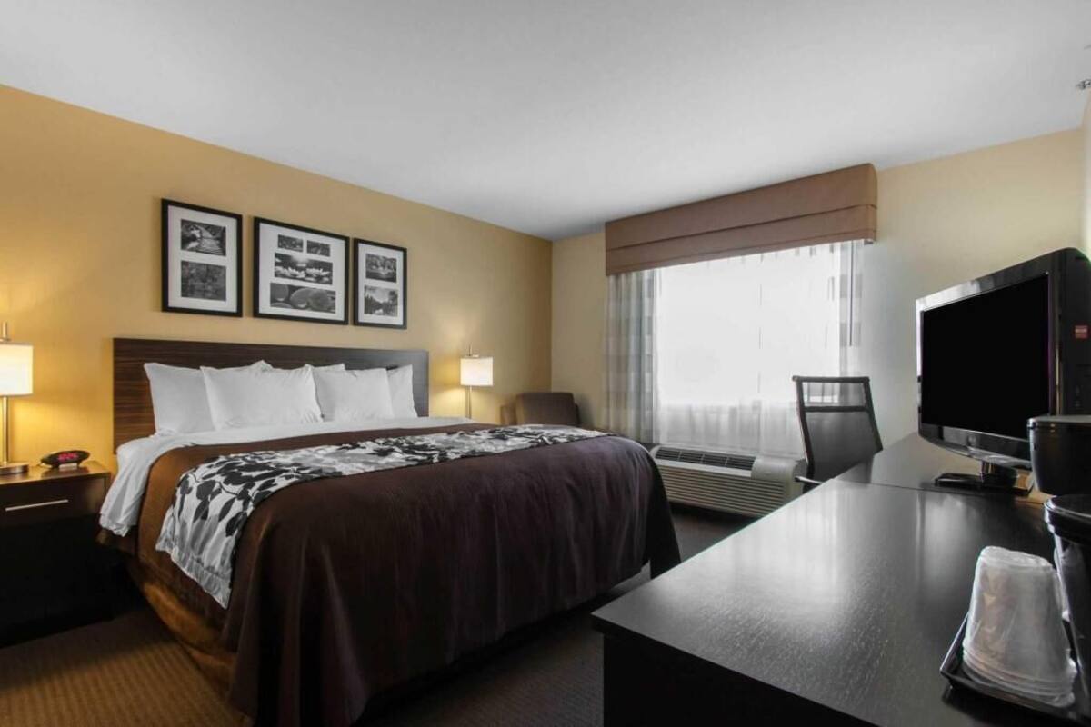 Hypo-allergenic bedding, pillowtop beds, desk, laptop workspace
