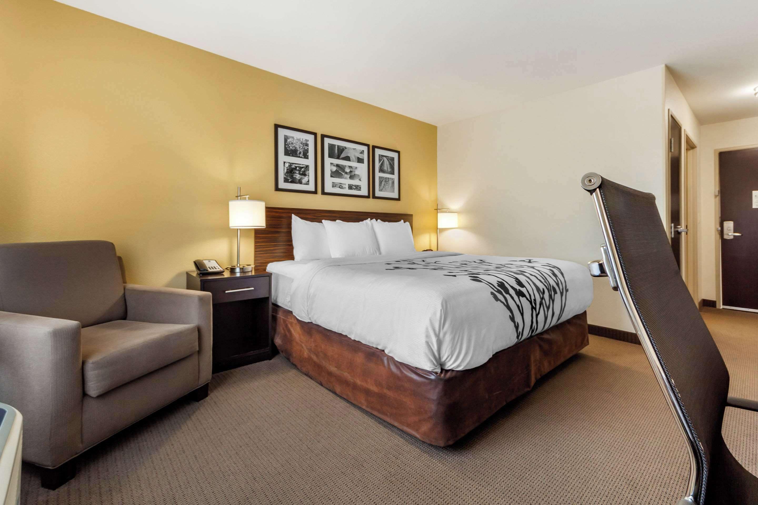 A hotel room with a bed, a chair, a nightstand, and a lamp.