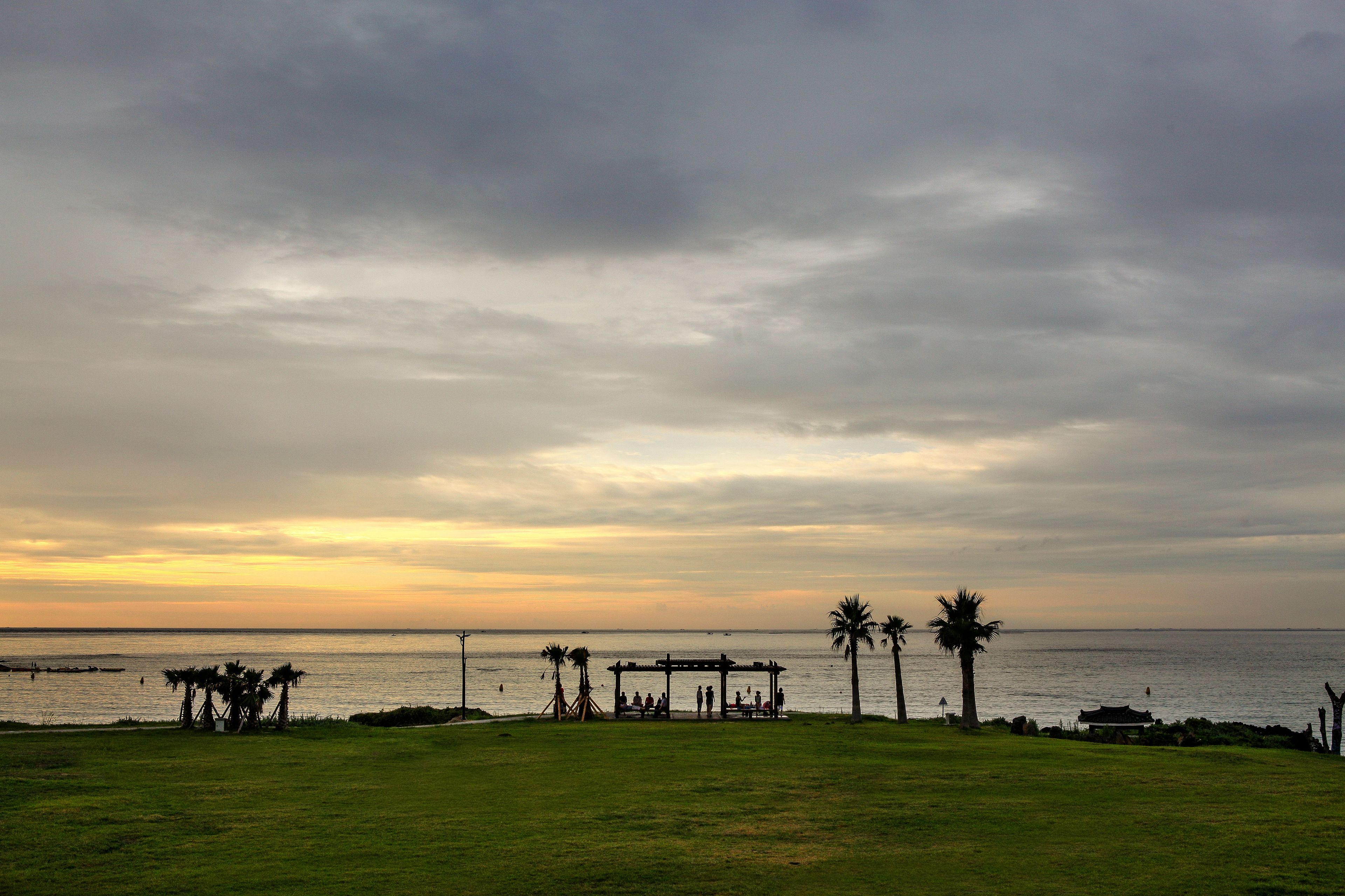 Una playa con un pabellón y palmeras, con vista al mar.