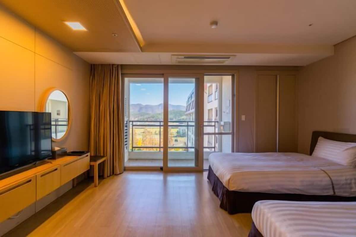 2 bedrooms, down comforters, blackout drapes, free WiFi