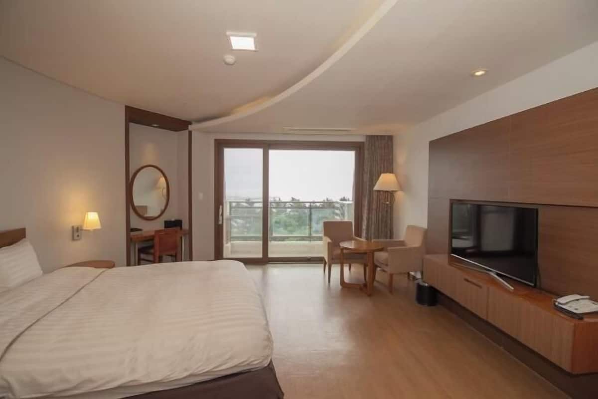 2 bedrooms, down comforters, blackout drapes, free WiFi