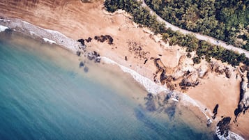 Vista aérea de una playa con una carretera serpenteando a través de una zona boscosa.
