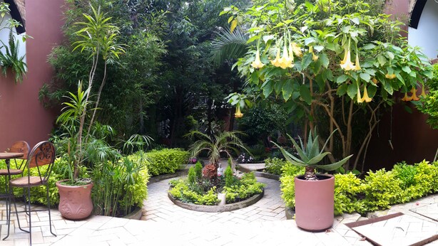 A garden with potted plants, a table, and chairs. - Axkan Arte Hotel San Cristobal (San Cristóbal de las Casas)