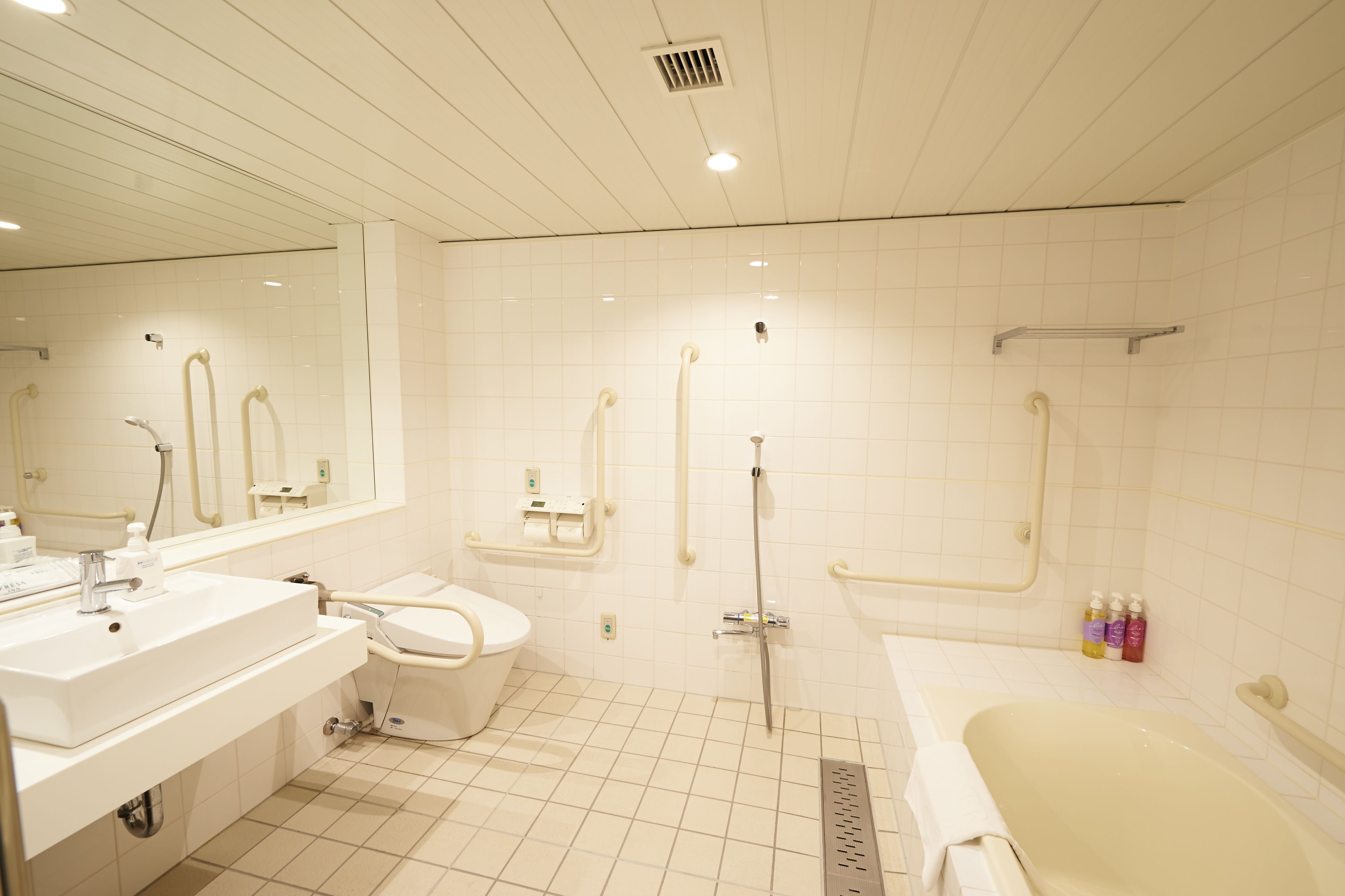 combined shower/bathtub, free toiletries, hair dryer, slippers