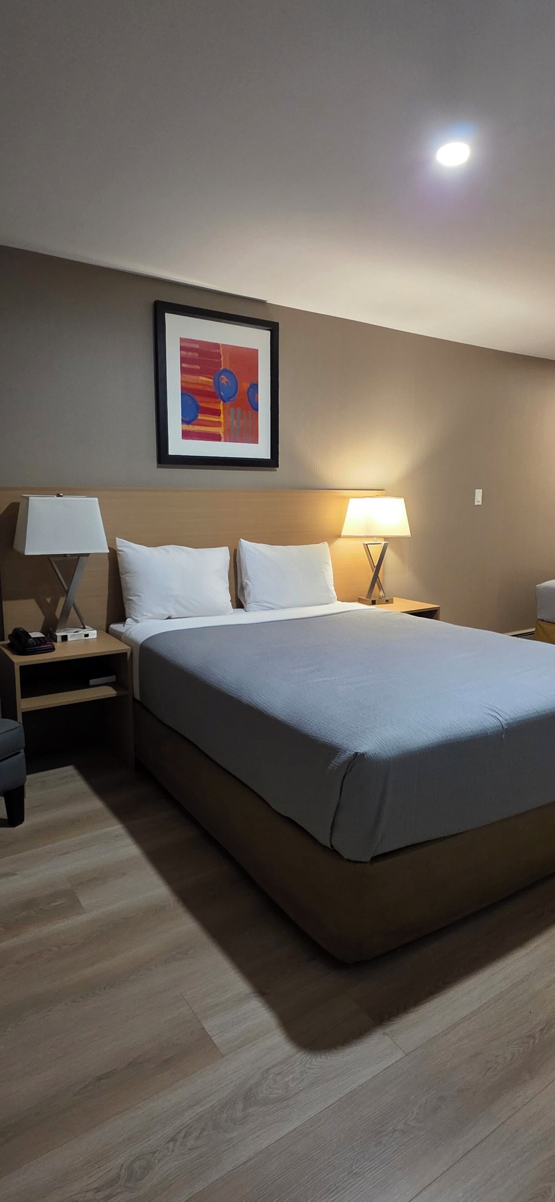 Desk, blackout drapes, iron/ironing board, free WiFi