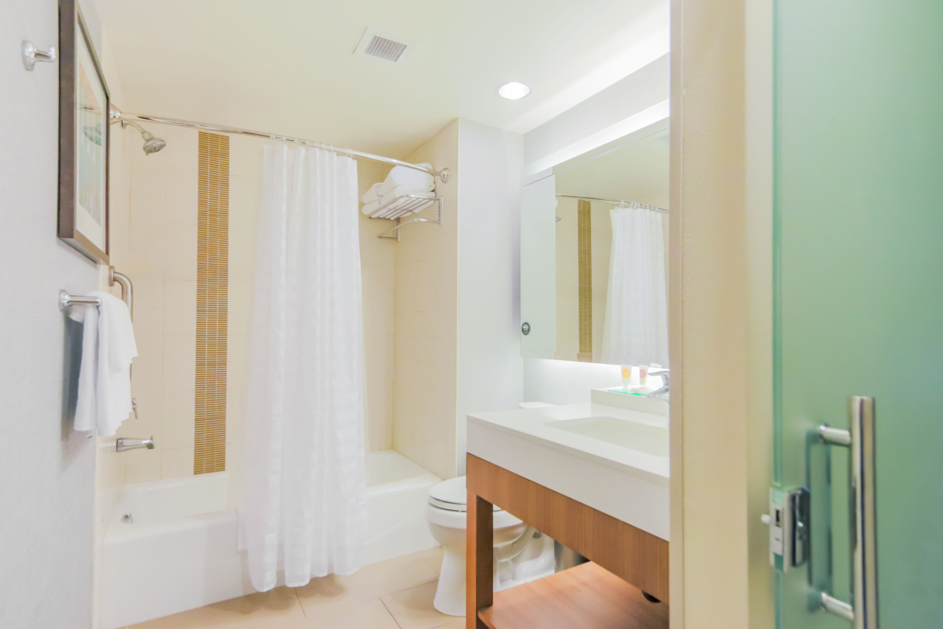 room, 1 king bed, accessible (with shower) | bathroom | designer toiletries, hair dryer, towels, soap
