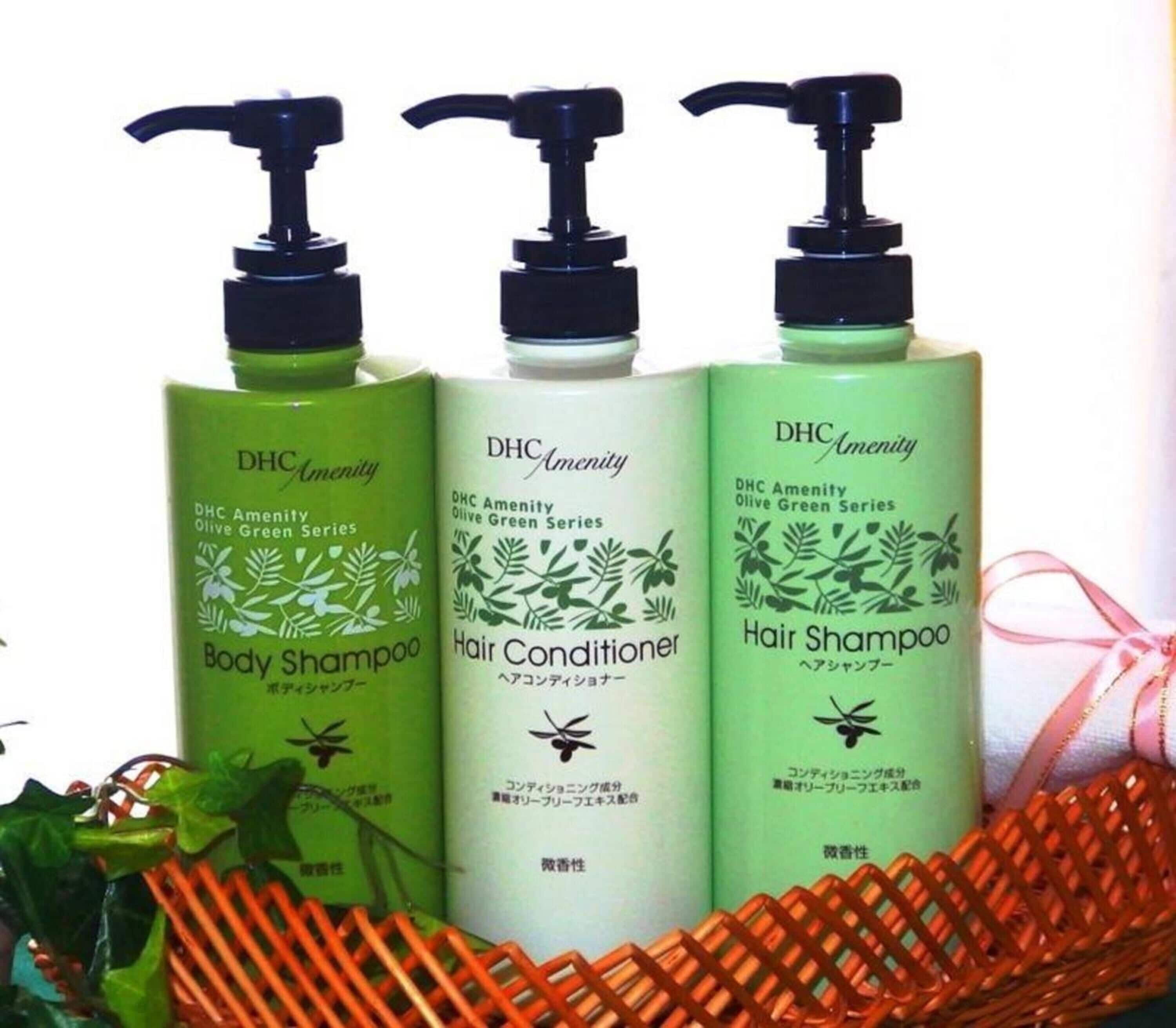 combined shower/bathtub, free toiletries, hair dryer, bathrobes