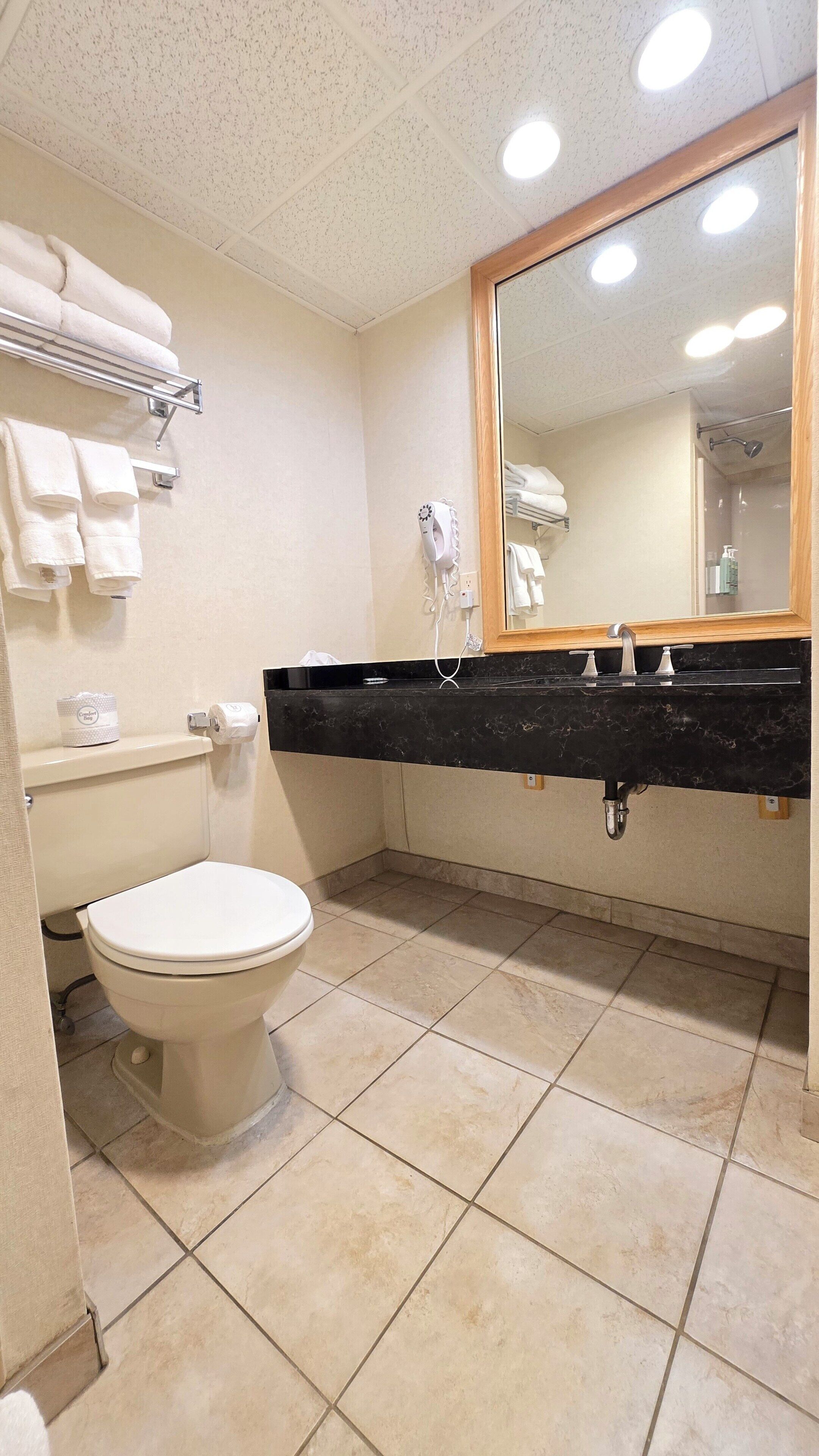 Un baño con inodoro, lavabo con espejo y un perchero para toallas.