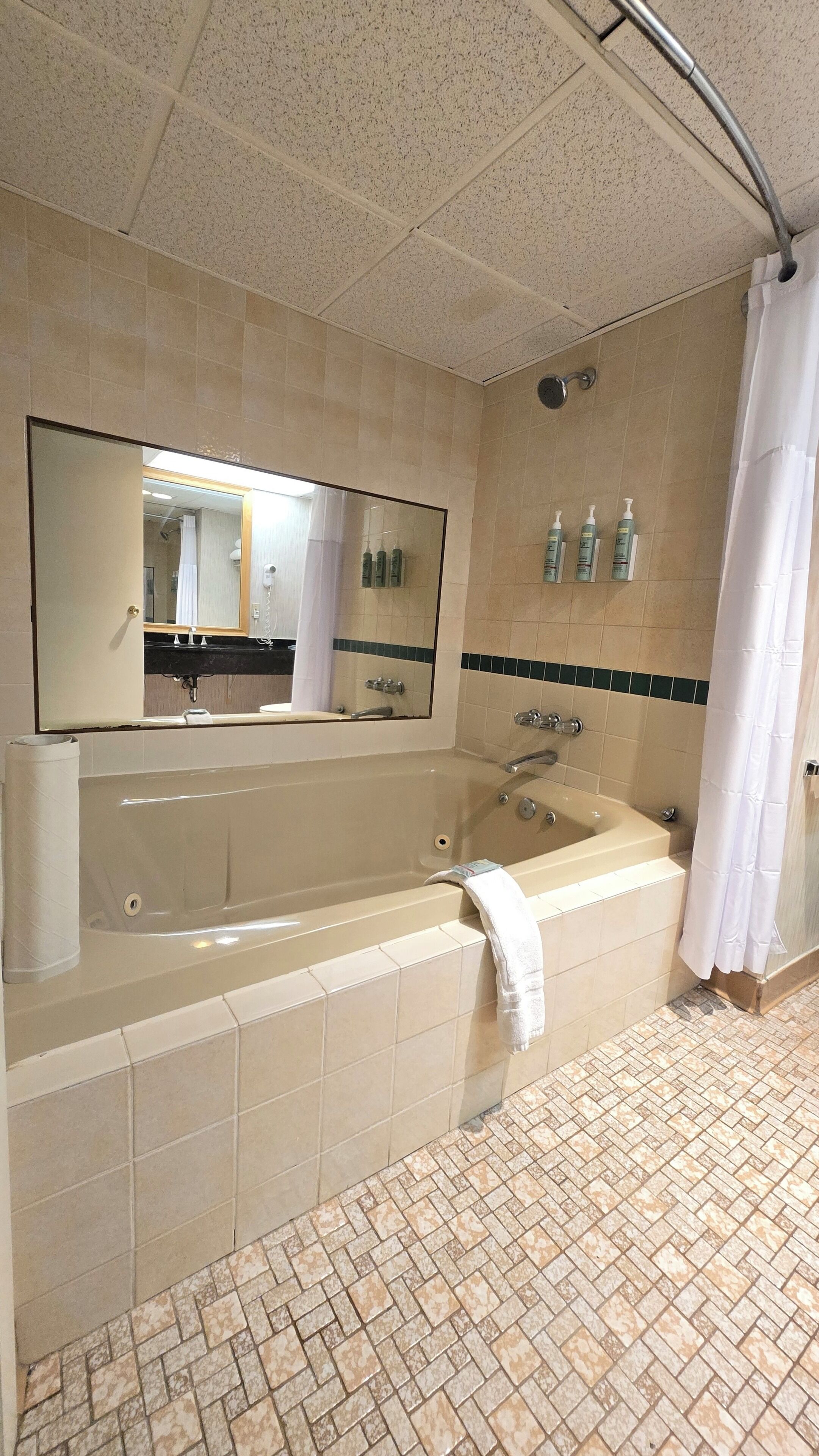 A bathroom with a large bathtub, a mirror, a showerhead, and toiletries on the wall.