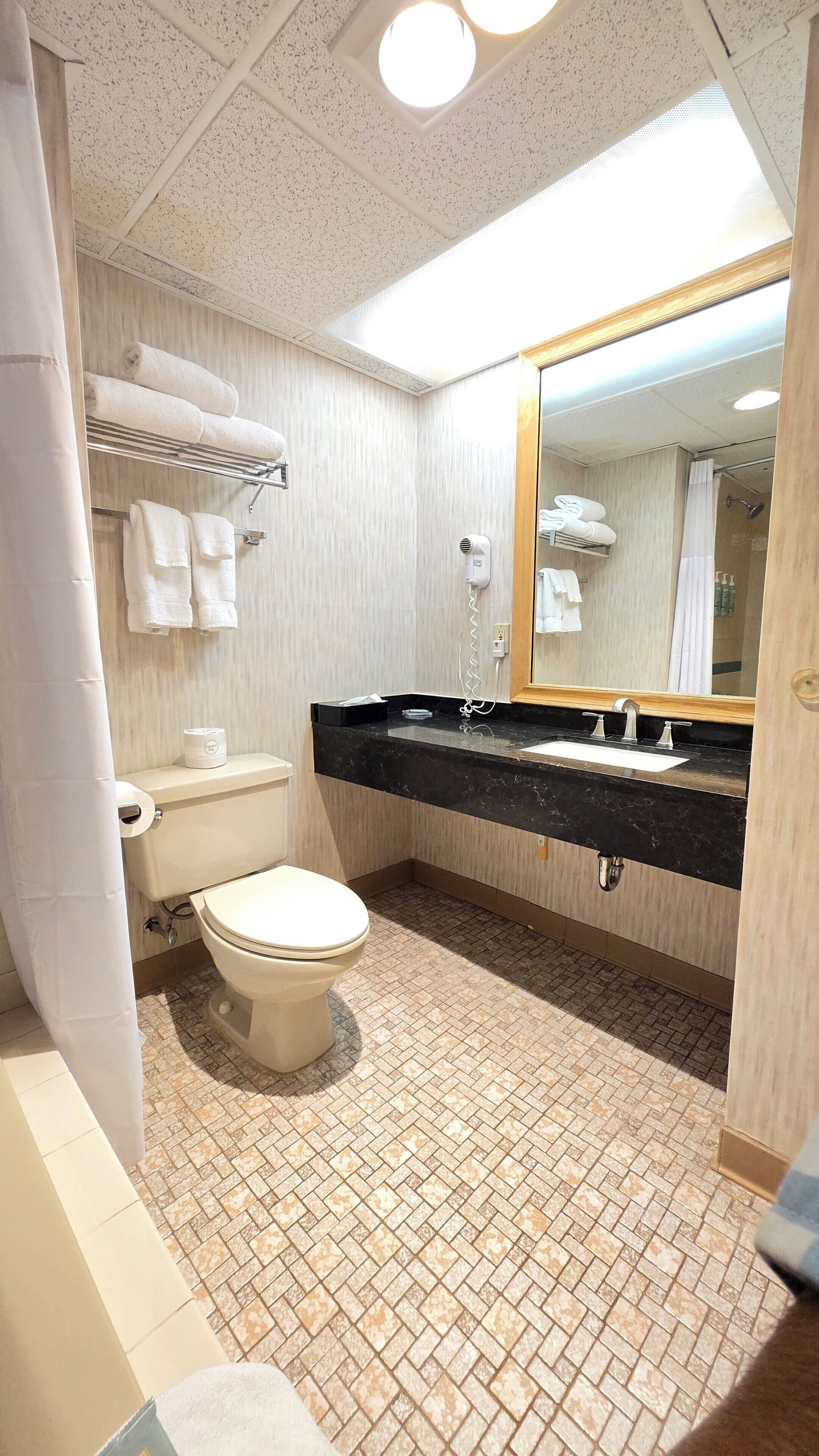 Un baño con inodoro, lavabo y espejo.
