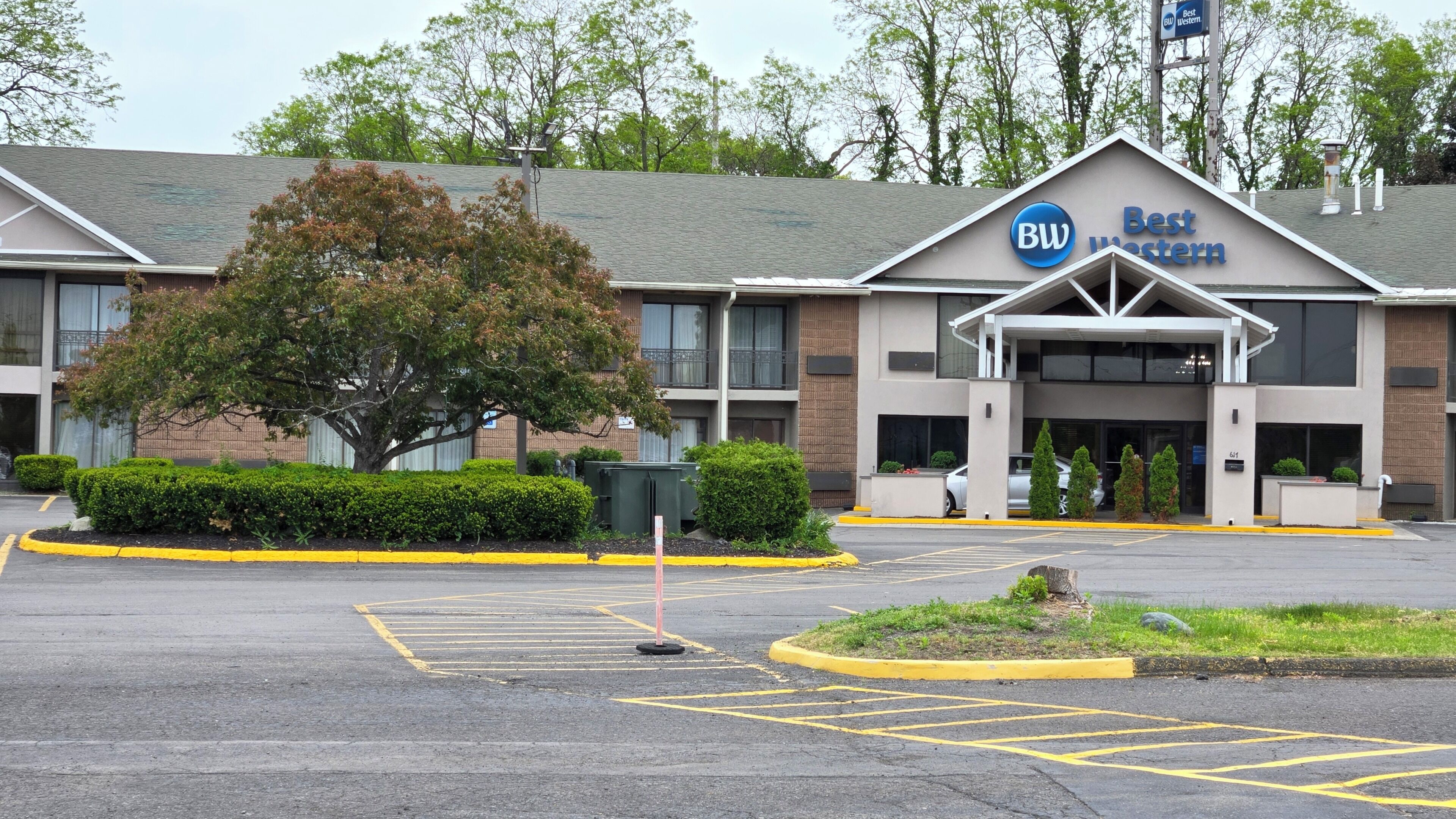A Best Western hotel with a parking lot and a large tree in front.