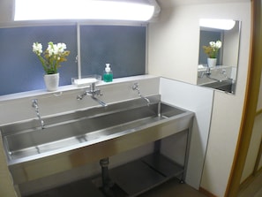 Bathroom features a stainless steel sink, mirror, and a potted plant.