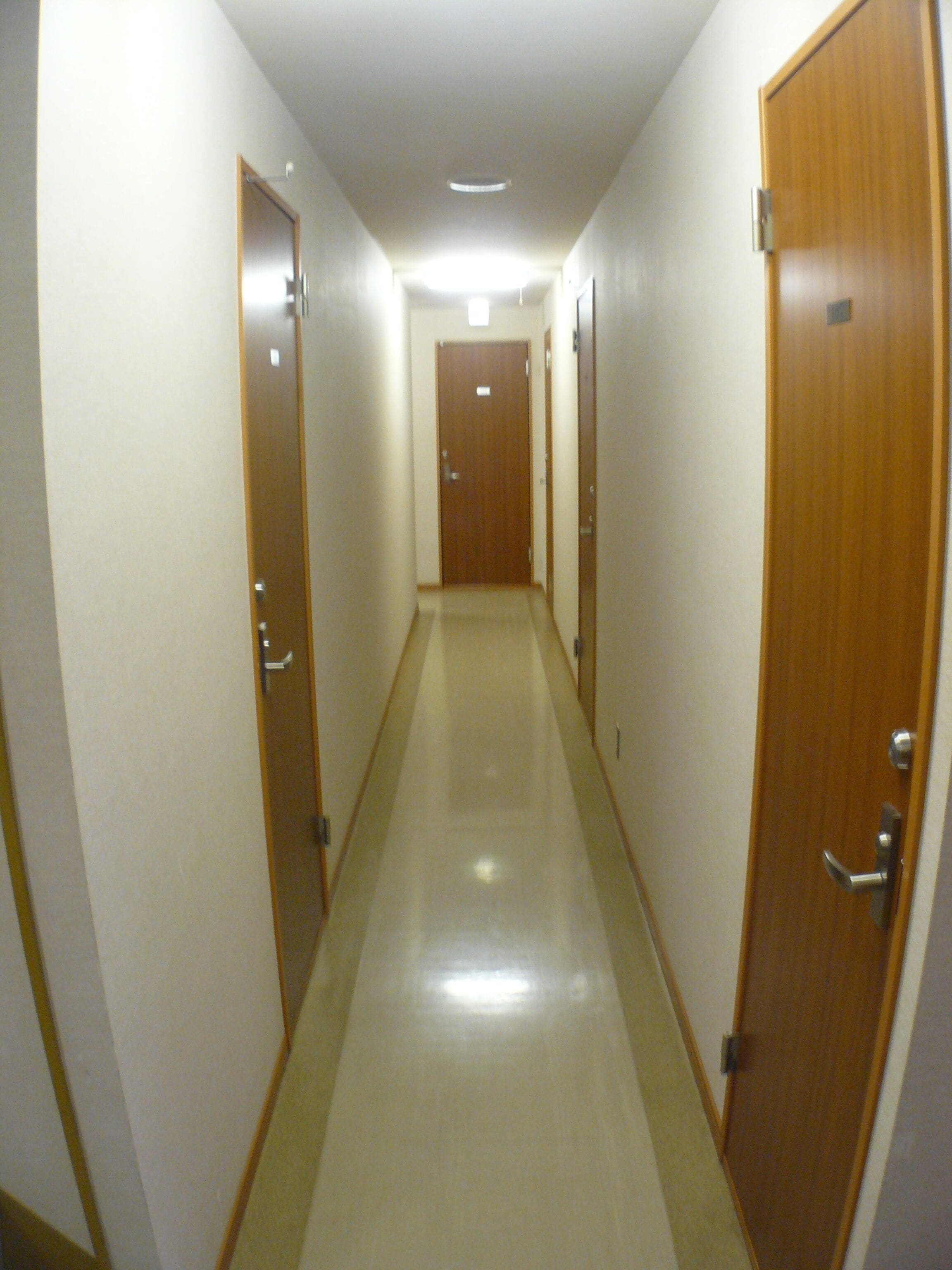 Escriptori, planxa i posts de planxar, wifi gratuïta i roba de llit 