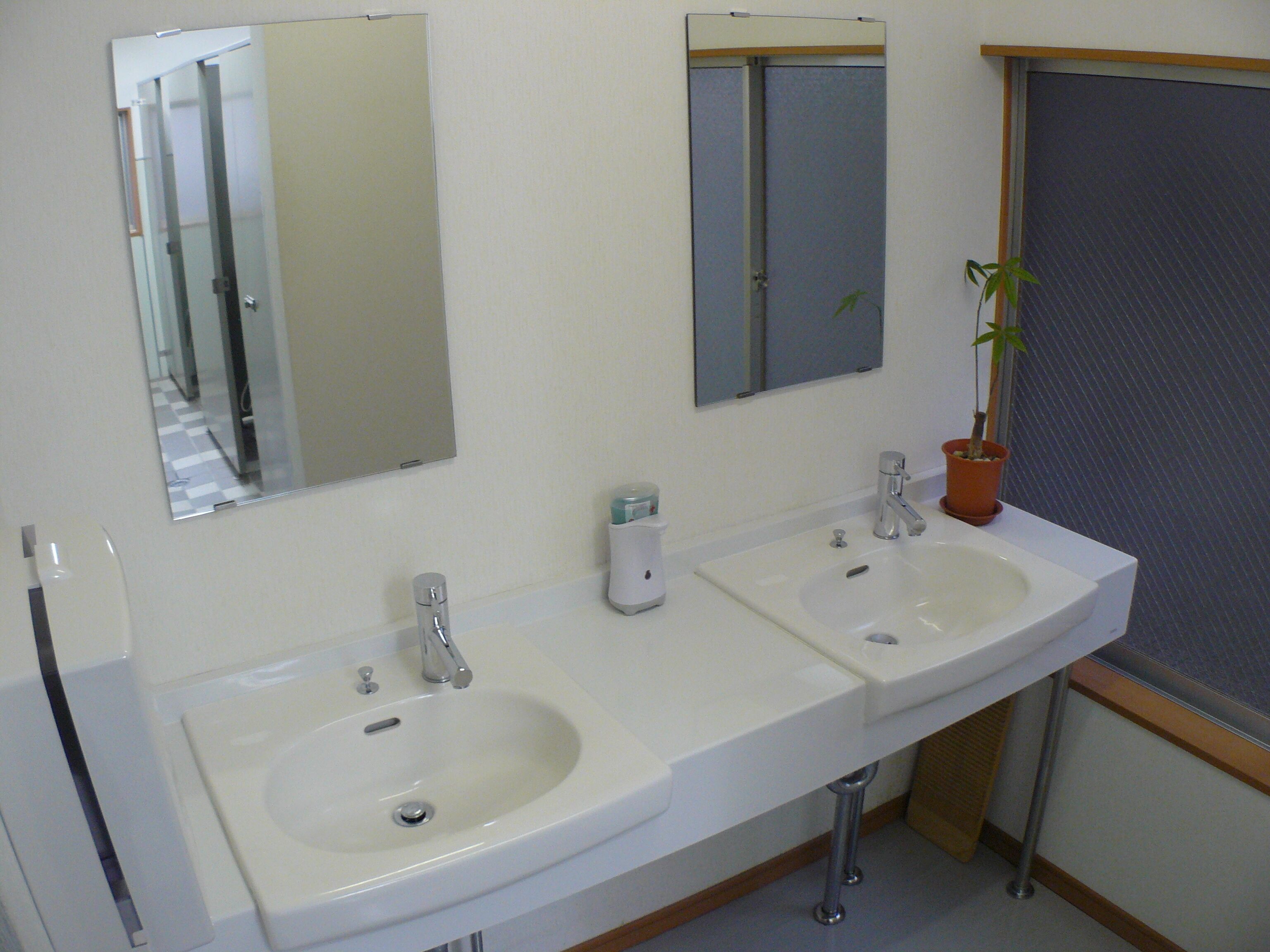 A bathroom with two sinks, a mirror, a potted plant, and a window.