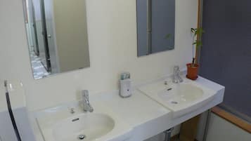 A bathroom with two sinks, a mirror, a potted plant, and a window.