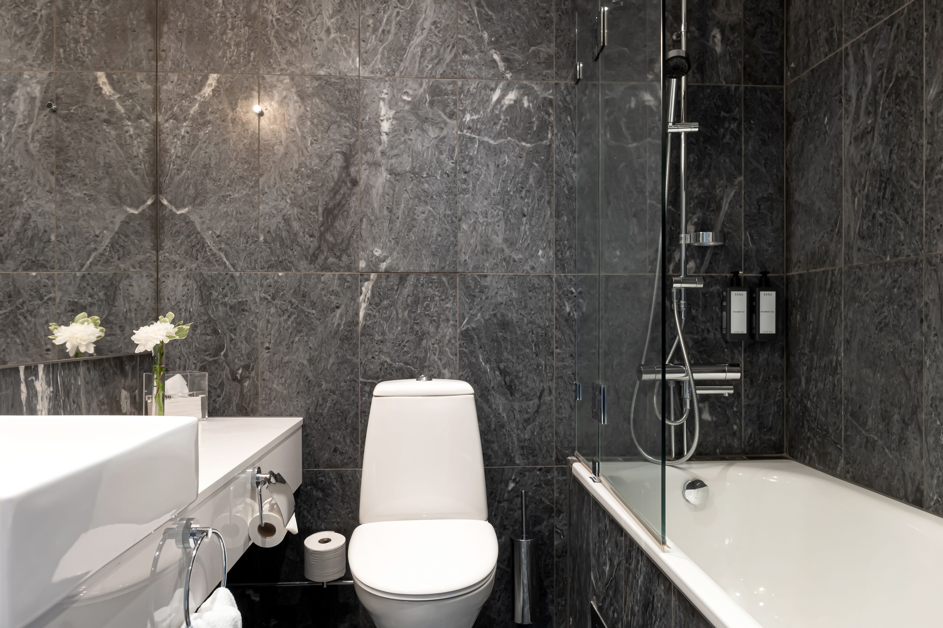 free toiletries, hair dryer, towels