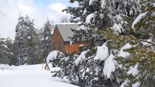 Property grounds - Tamarack Lodge at Bear Valley (Arnold)