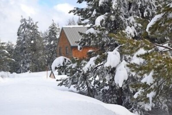 Property grounds - Tamarack Lodge at Bear Valley (Arnold)