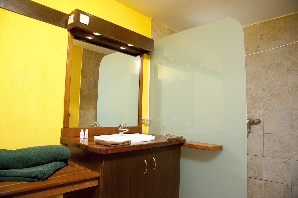 shower, free toiletries, hair dryer, towels