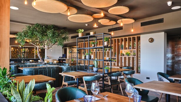 L’intérieur d’un restaurant est agrémenté de tables en bois, de chaises recouvertes d’un tissu vert, de luminaires suspendus et d’un arbre placé au centre.