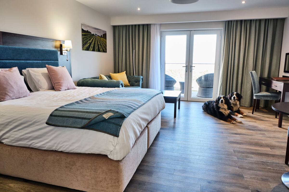 Una habitación de hotel con una cama grande, un sofá, un escritorio y dos perros.