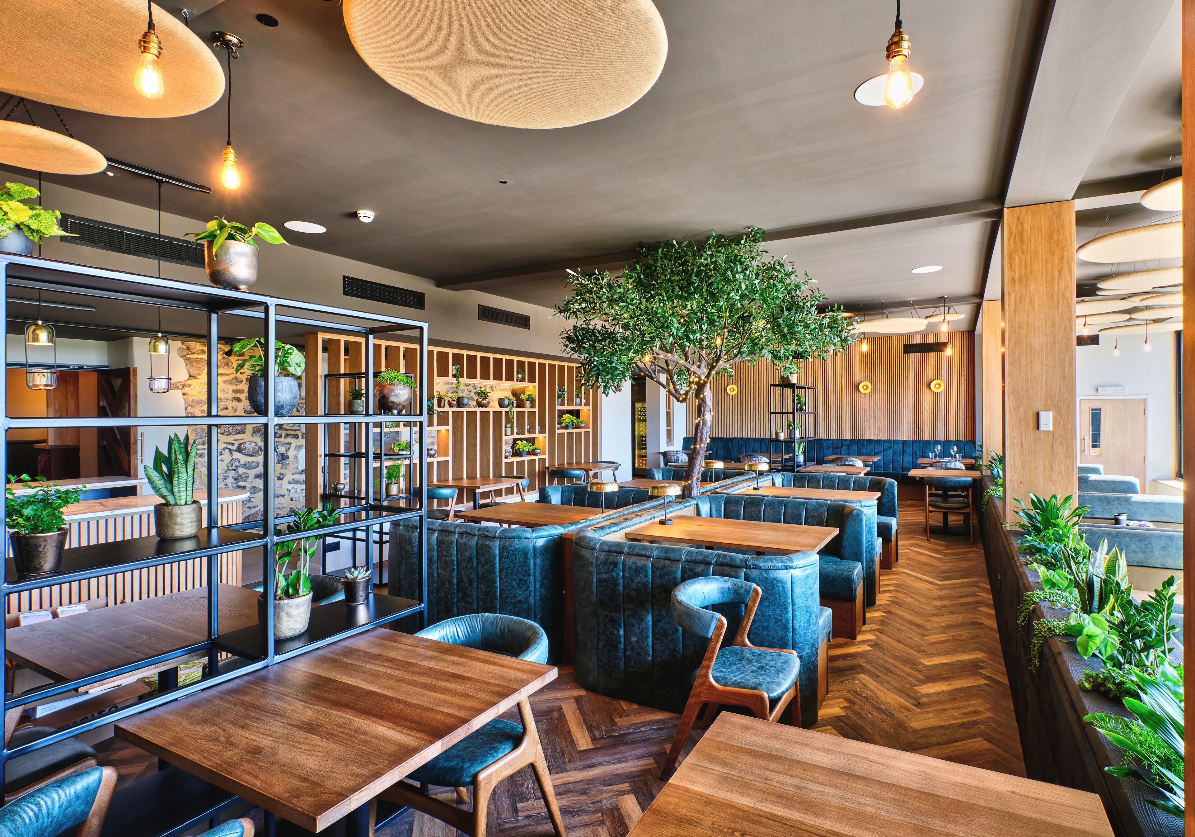 A modern restaurant interior with wooden tables, blue cushioned seating, hanging pendant lights, and potted plants.