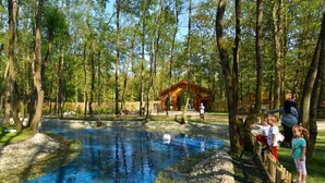 A natural pool surrounded by trees, a wooden deck, and a pavilion. - Wellborn Luxury Hotel (Basiskele)