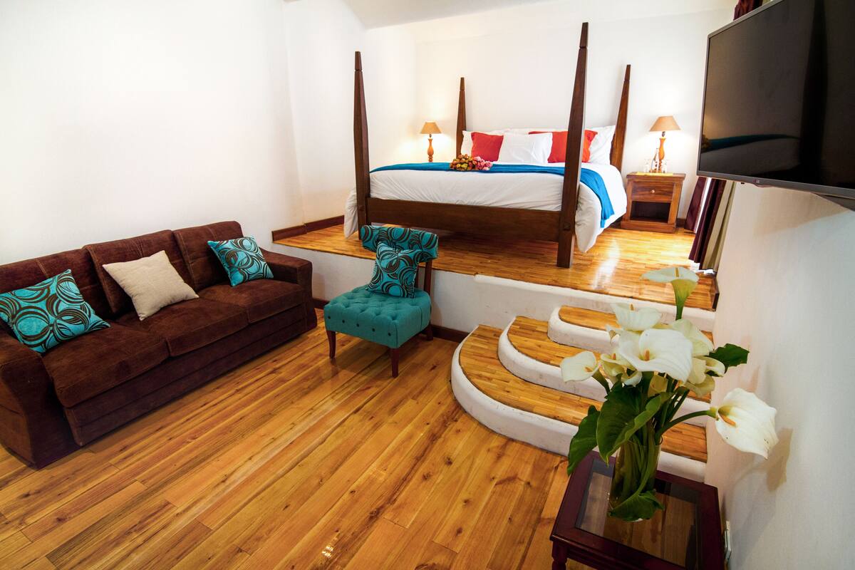 Un dormitorio con una cama con dosel, un sofá, una silla, un televisor y una escalera.
